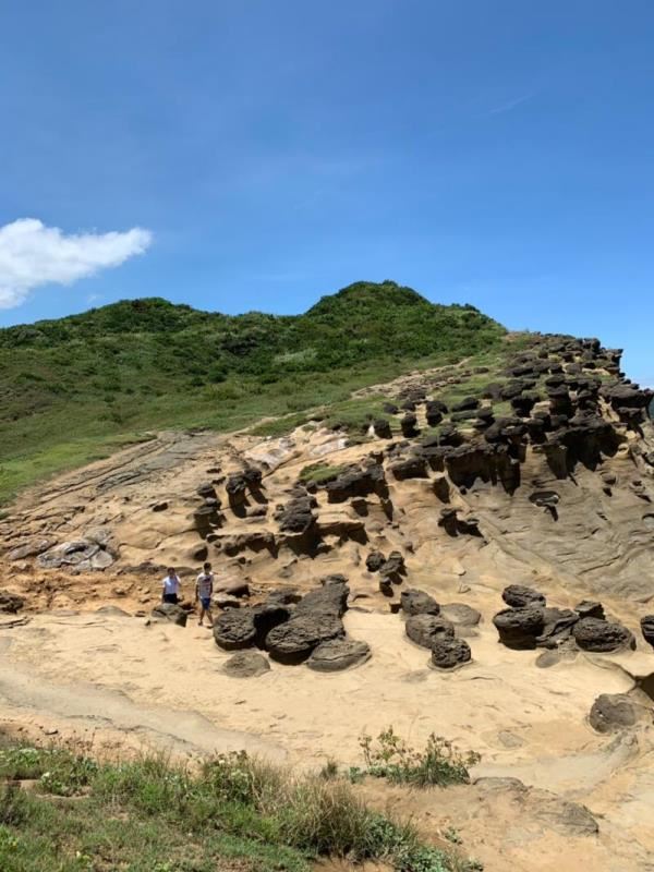 環台灣半島旅遊-象鼻岩、伯朗大道、王功採蚵(四)