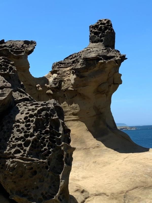 環台灣半島旅遊-象鼻岩、伯朗大道、王功採蚵(六)